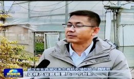 武汉农民新闻爆料,揭秘农村发展新动向